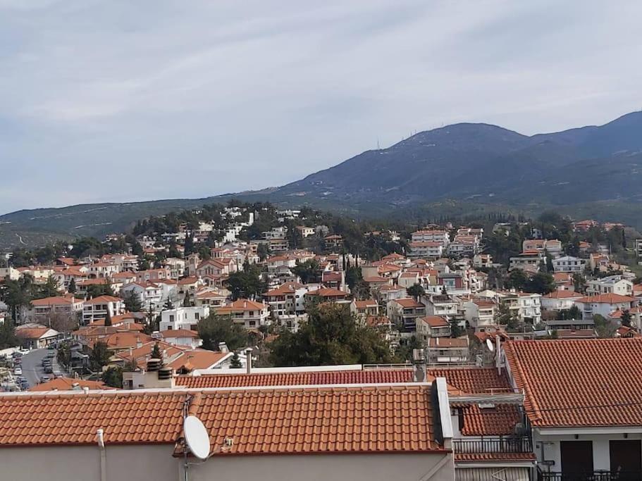 Panorama View Apartment Selanik Dış mekan fotoğraf